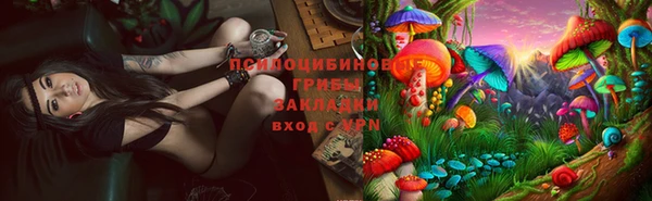 первитин Алексеевка