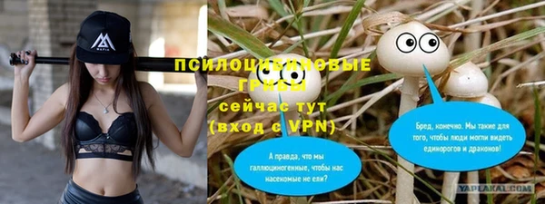 первитин Алексеевка