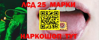 шишки Шебекино
