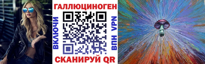 Псилоцибиновые грибы GOLDEN TEACHER  Нефтекумск 
