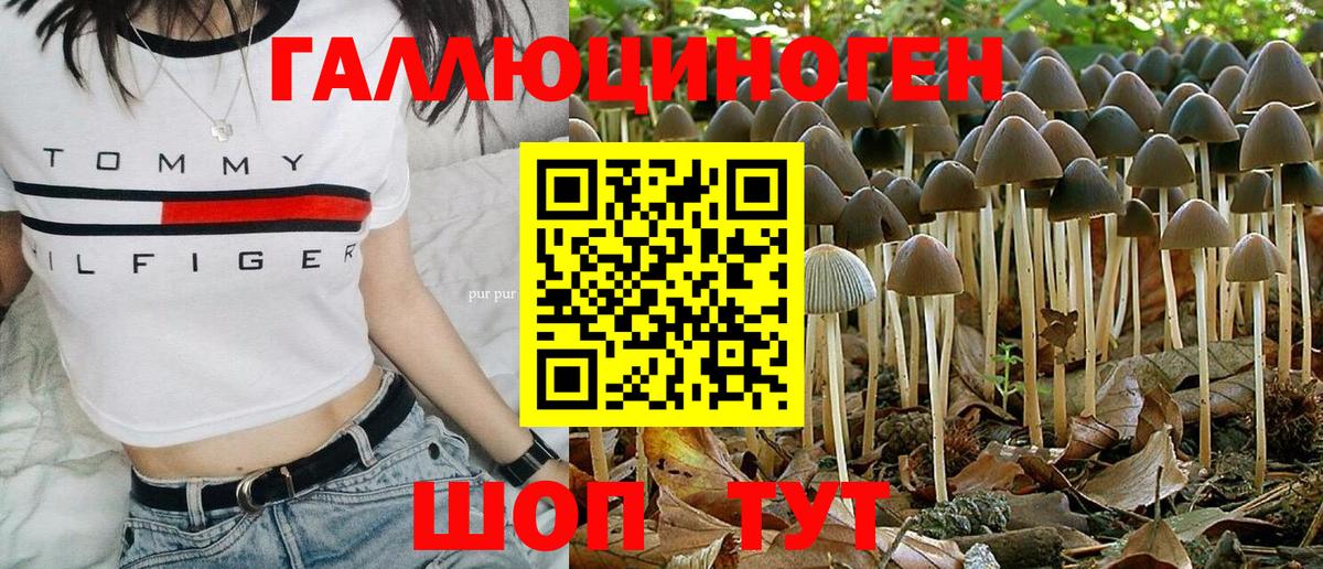 Галлюциногенные грибы ЛСД  Вход с VPN  Нефтекумск  дарнет шоп  Псилоцибиновые грибы GOLDEN TEACHER 