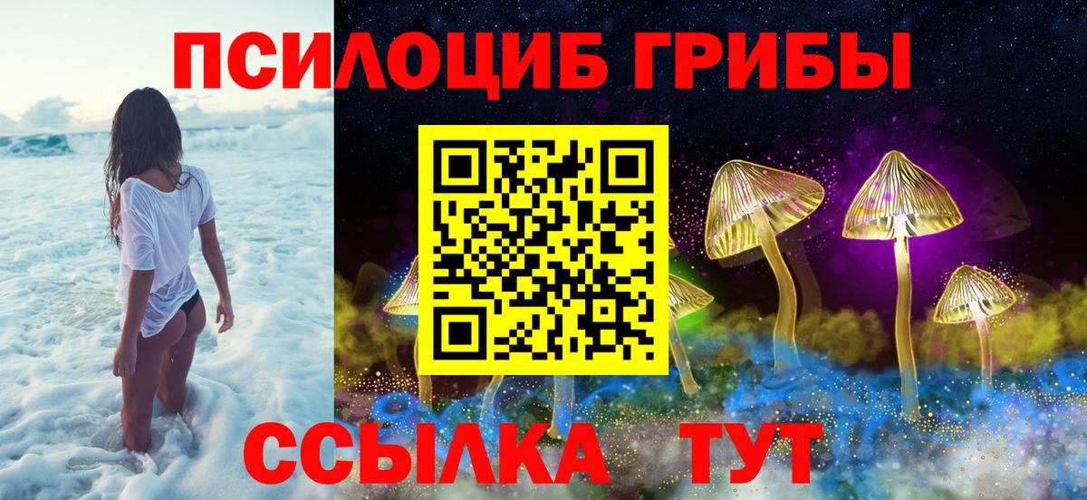Псилоцибиновые грибы ЛСД Нефтекумск